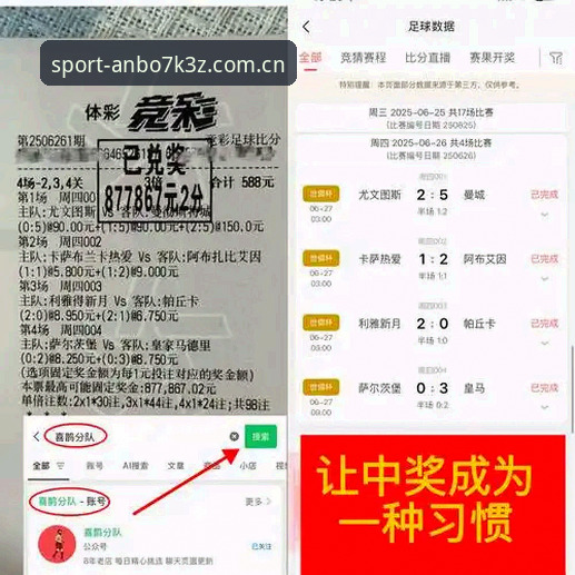 安博体育平台全面评测：安全登录与用户体验深度分析